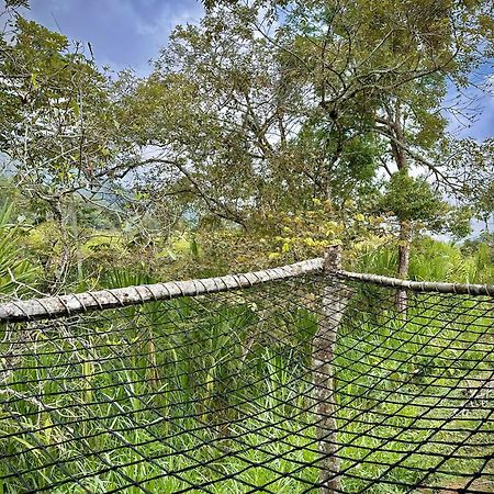 איבגו Finca Ecoparaiso מראה חיצוני תמונה