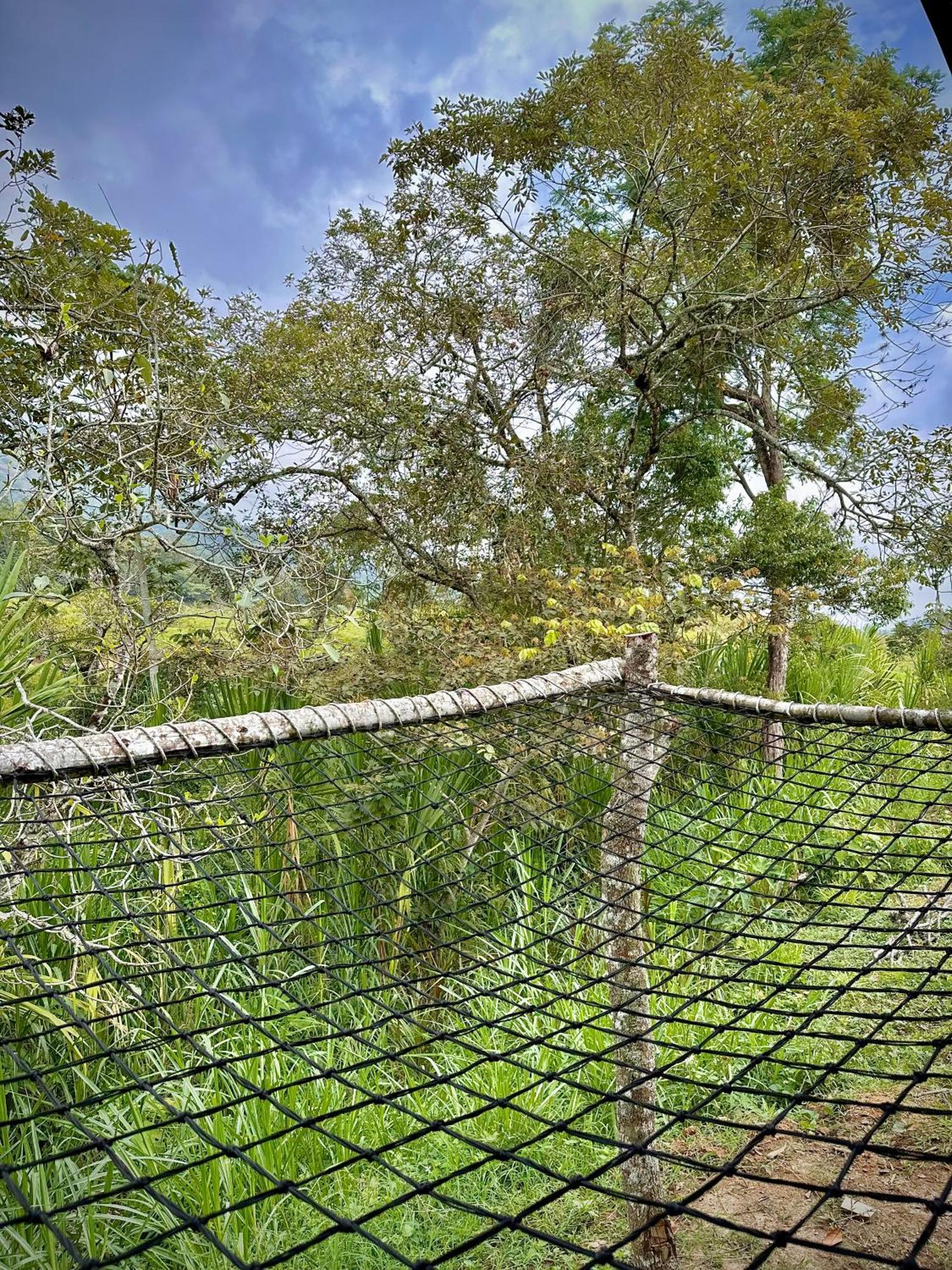 איבגו Finca Ecoparaiso מראה חיצוני תמונה
